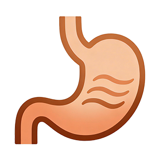 Digestive icon